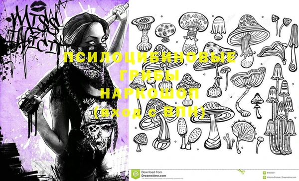 крисы Алексеевка