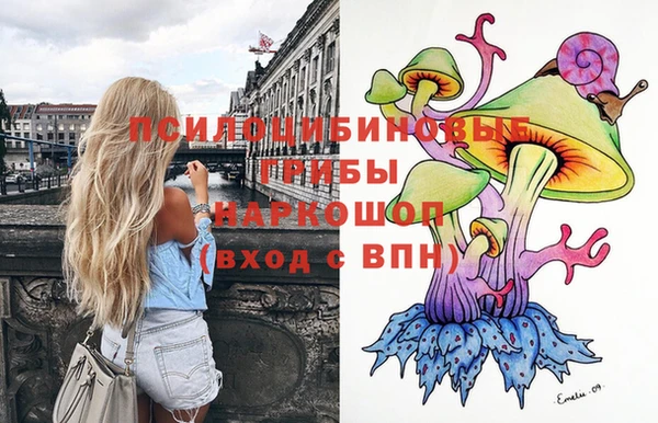 бутират Алзамай