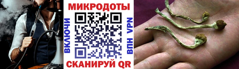 Псилоцибиновые грибы прущие грибы  где можно купить   Лобня 